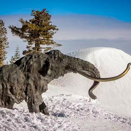 La Vista Blanc Apartment Mammoth Lakes Bagian luar foto